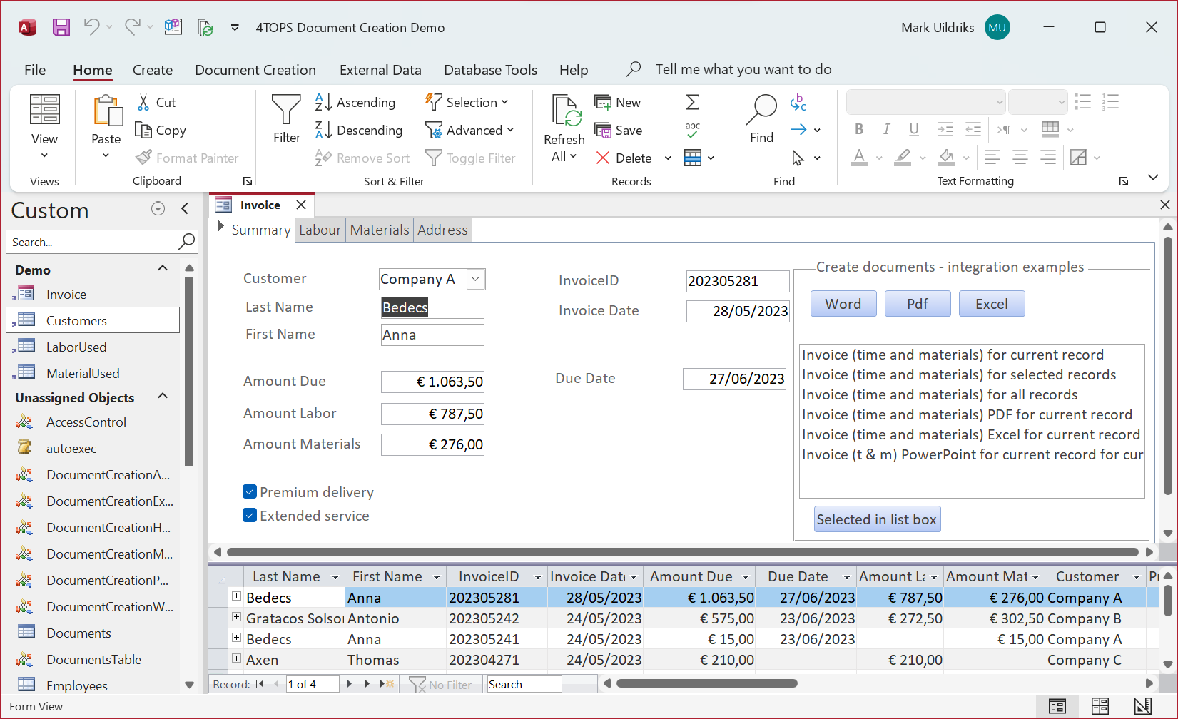 ms access demo database